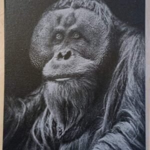 Toiles rectangulaires gravées – Élégance et originalité